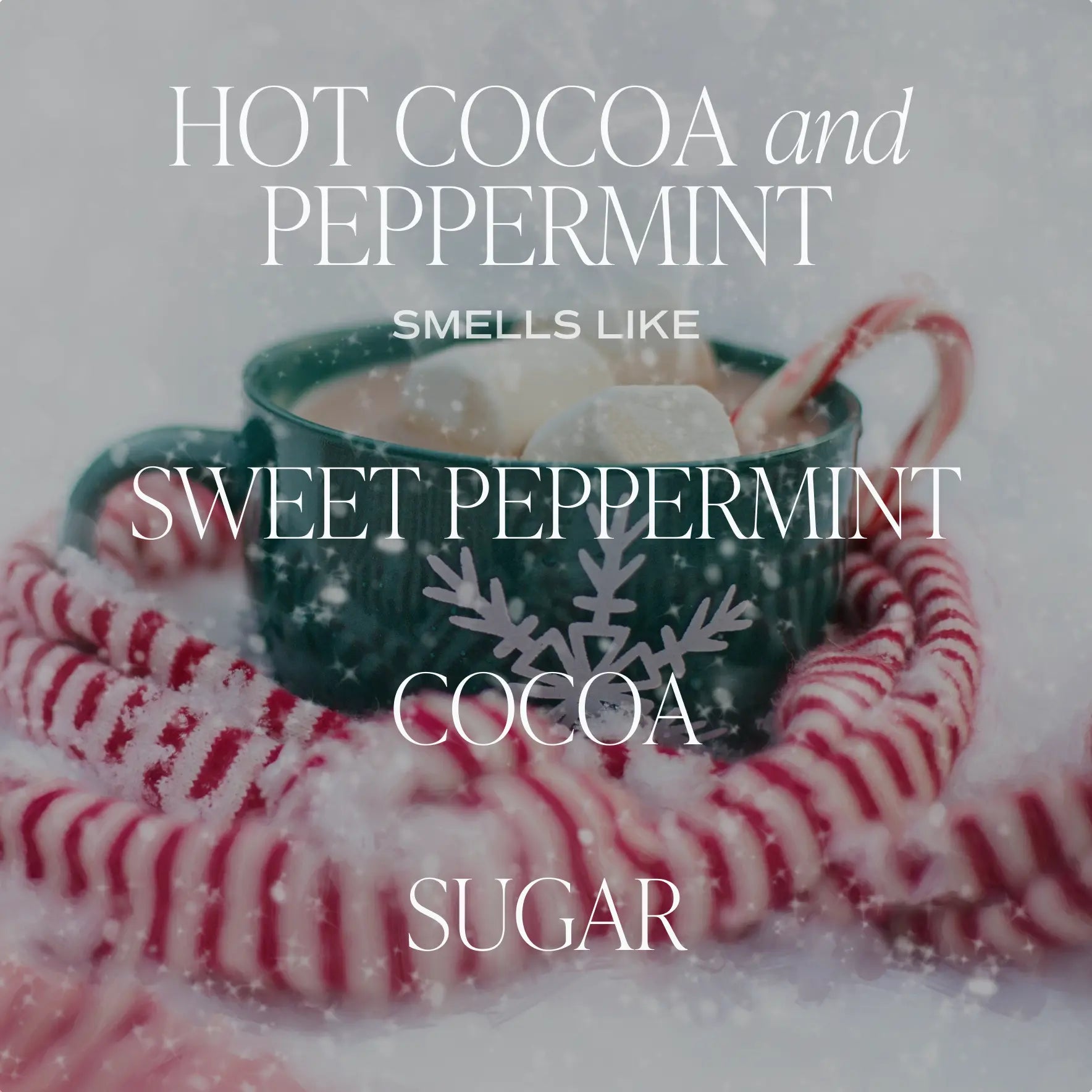 Hot Cocoa and Peppermint 9 oz Soy Candle Sweet Water Decor