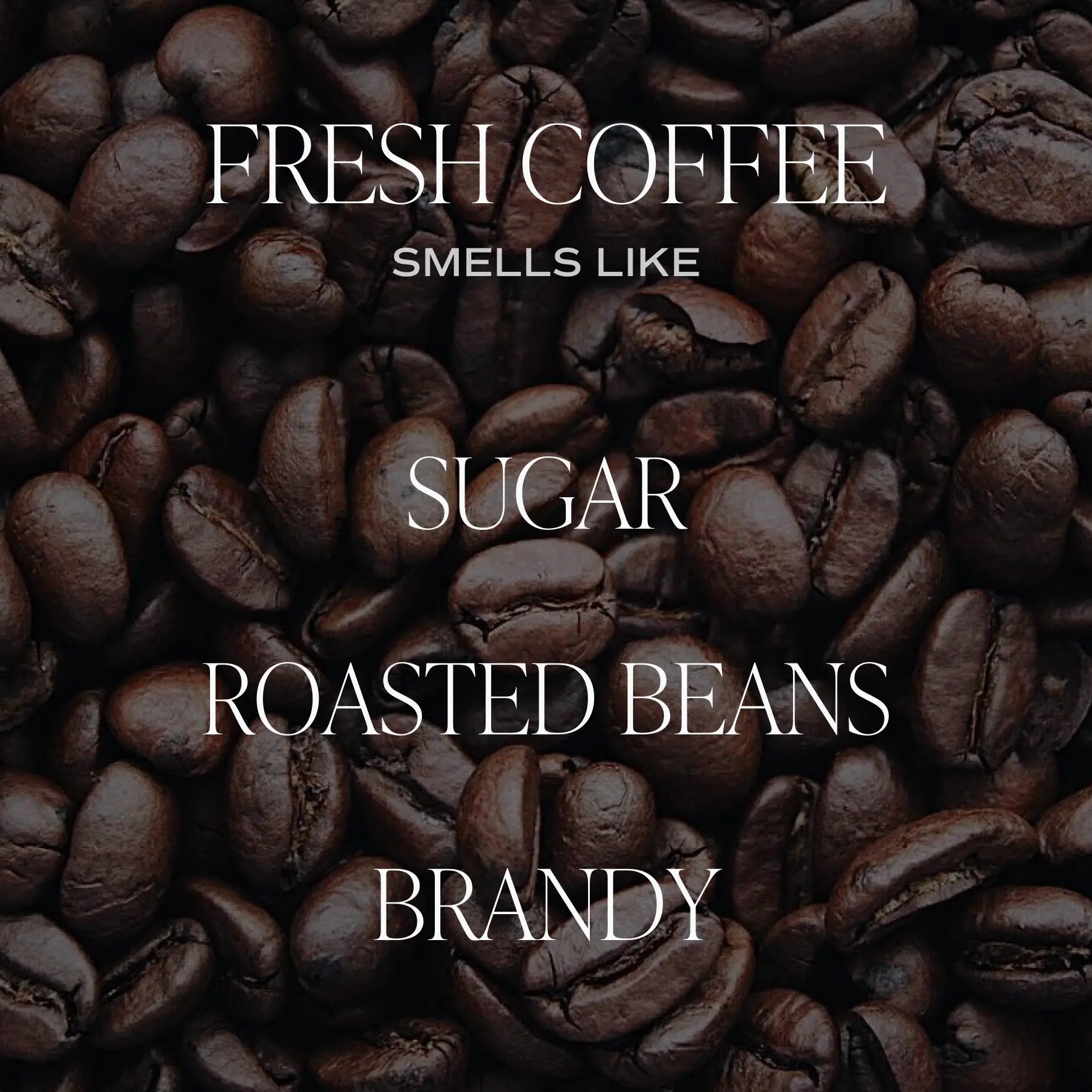 Fresh Coffee 12 oz Soy Candle Sweet Water Decor