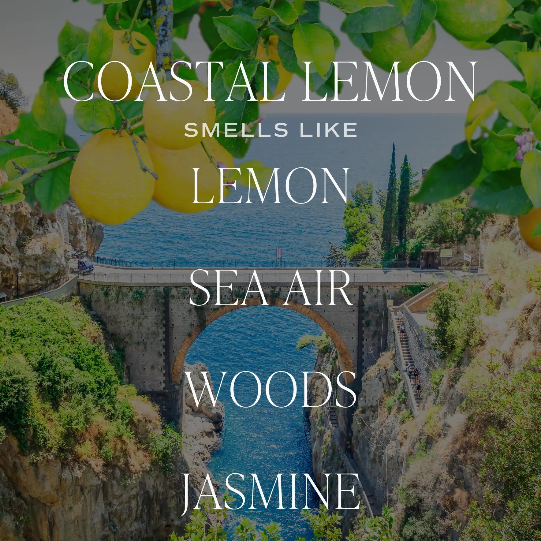 Coastal Lemon 11 oz Soy Candle Sweet Water Decor
