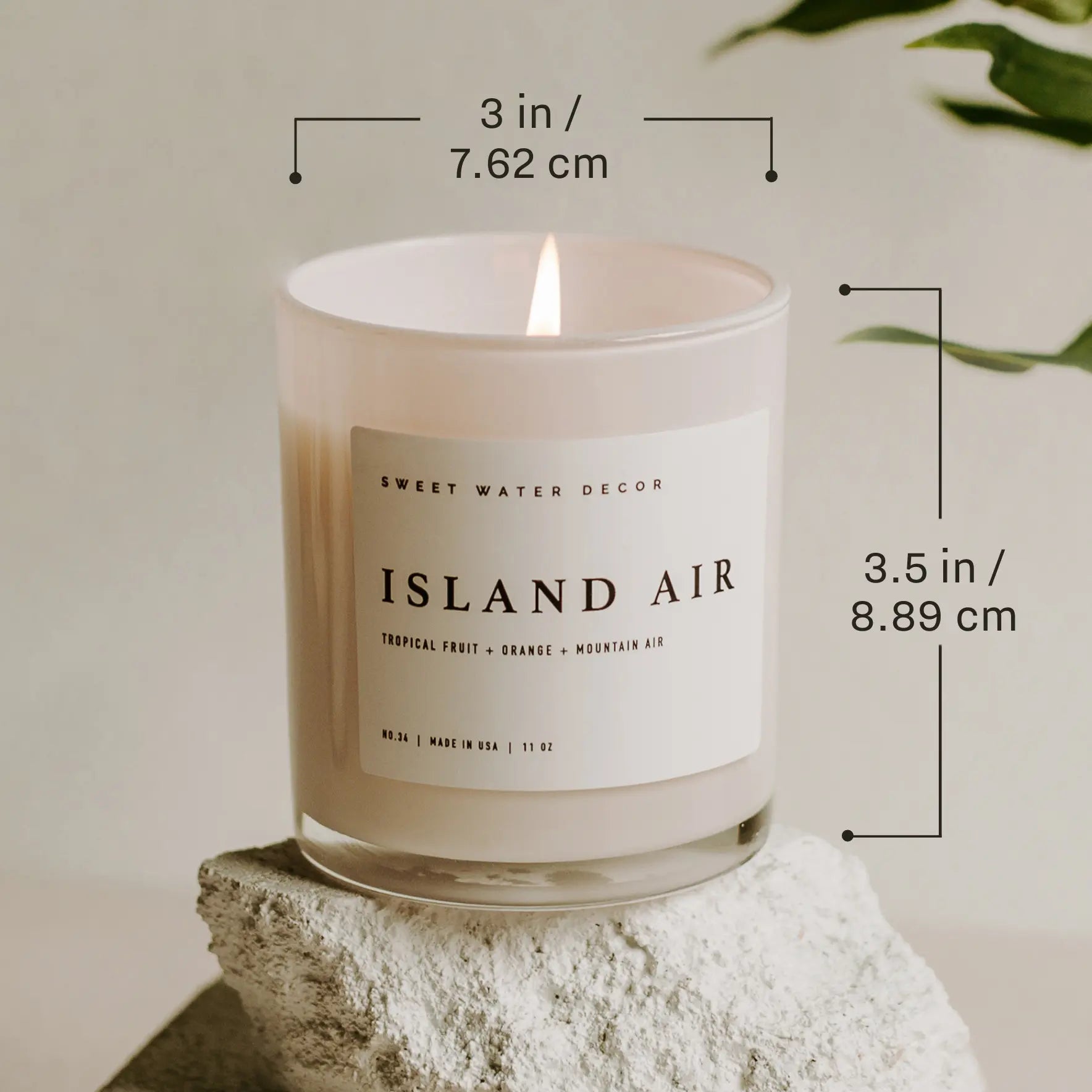 Coastal Lemon 11 oz Soy Candle Sweet Water Decor
