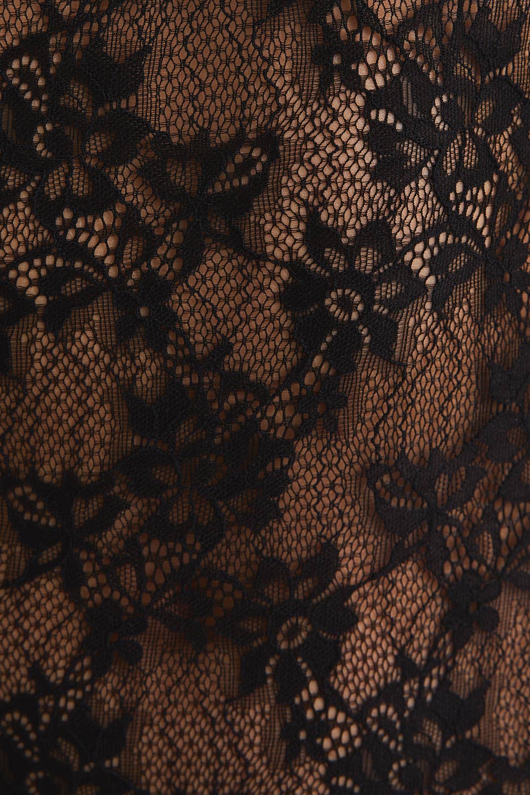 Sheer Romance Floral Lace Bodysuit